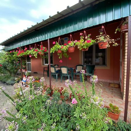 Skorenovac Sud ,,Antal I Olga,, B&B 외부 사진