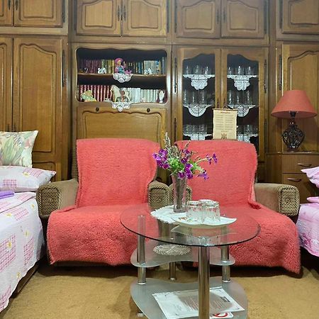 Skorenovac Sud ,,Antal I Olga,, B&B 객실 사진