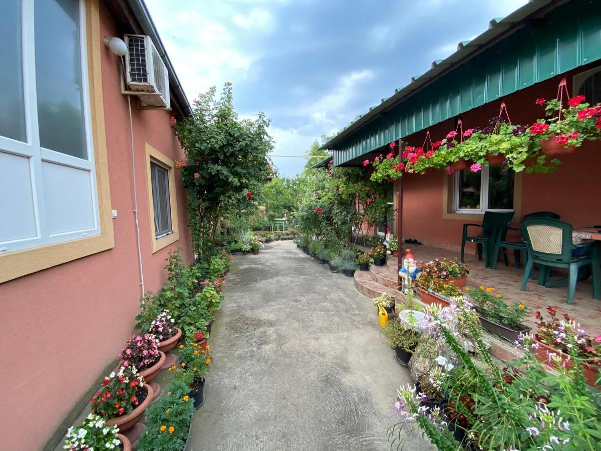 Skorenovac Sud ,,Antal I Olga,, B&B 외부 사진
