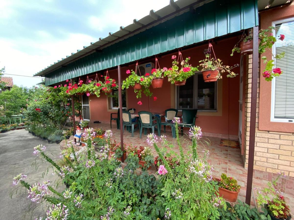 Skorenovac Sud ,,Antal I Olga,, B&B 외부 사진