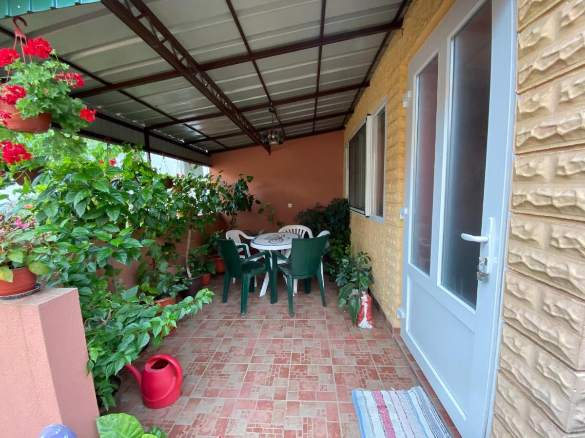 Skorenovac Sud ,,Antal I Olga,, B&B 외부 사진