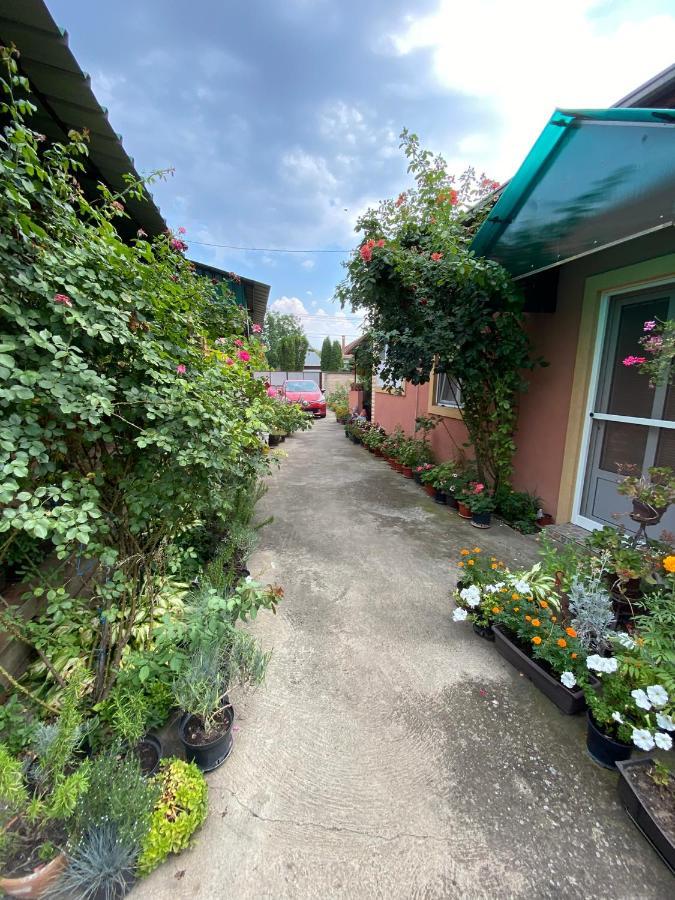 Skorenovac Sud ,,Antal I Olga,, B&B 외부 사진