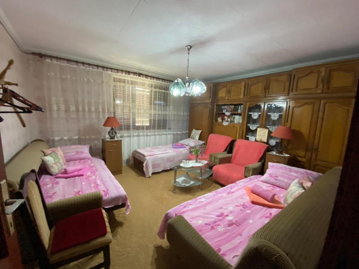 Skorenovac Sud ,,Antal I Olga,, B&B 객실 사진