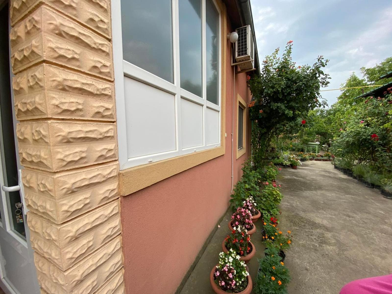 Skorenovac Sud ,,Antal I Olga,, B&B 객실 사진